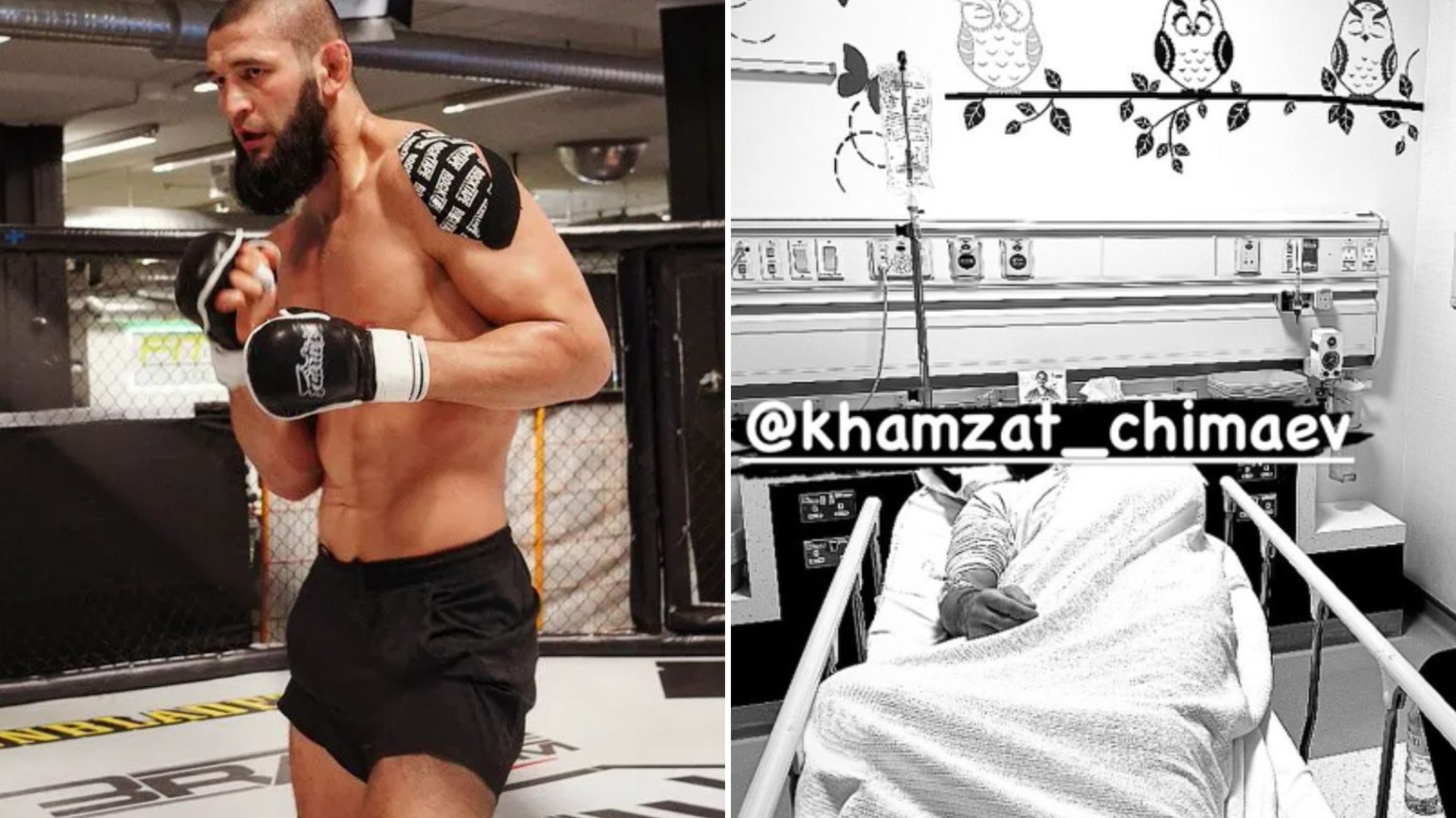 Неизвестная болезнь госпитализировала звезду UFC Хамзата Чимаева перед важным боем